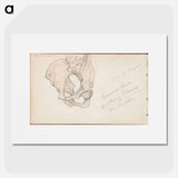 (unknown) part of a sketchbook - アルバート エーデルフェルト Poster.