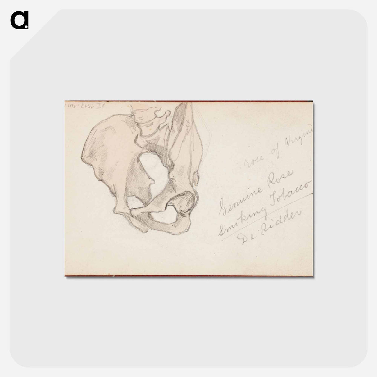 アートポストカード-(unknown) part of a sketchbook - アルバート エーデルフェルト Postcard.