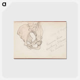 アートポストカード-(unknown) part of a sketchbook - アルバート エーデルフェルト Postcard.