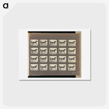 アートポストカード-Racking - Change to Running
 - エドワード マイブリッジ Postcard.