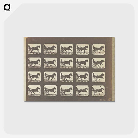 アートポストカード-Racking - Change to Running
 - エドワード マイブリッジ Postcard.
