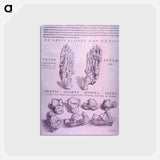 アートポストカード-Superior and Inferior Views of a Bone Plate
 - 国立医学図書館 Postcard.