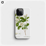 Snowdrop bush - Pierre Joseph Redouté Phone Case.