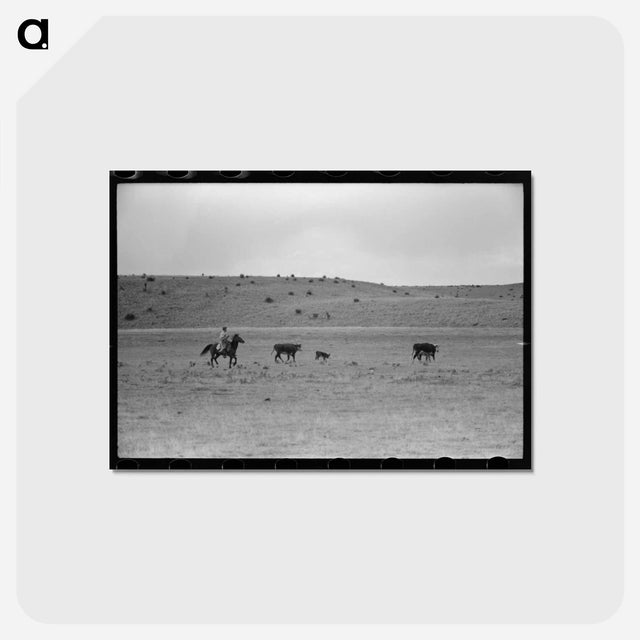 アートポストカード-Cutting Out Calves
 - ラッセル リー Postcard.