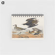 アートメモ帳-Golden Plover from Birds of America
 - アメリカの鳥たち Memo.