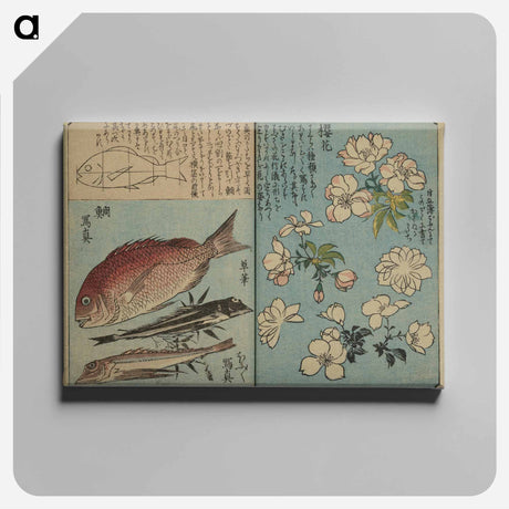 アートパネル-Picture Book for the Practice of Drawing Fish
 - 歌川 広重 Canvas.