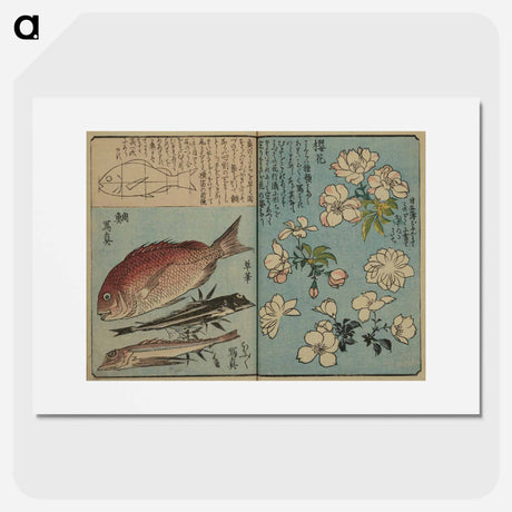 アートポスター-Picture Book for the Practice of Drawing Fish
 - 歌川 広重 Poster.