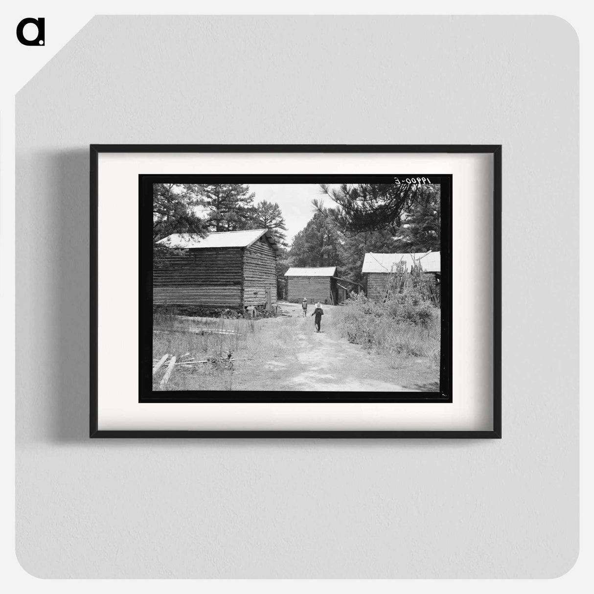 Tobacco barns on the Stone place - Dorothea Lange Poster.