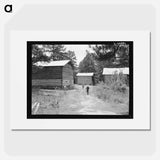 Tobacco barns on the Stone place - Dorothea Lange Poster.