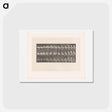 アートポストカード-Woman Emerging
 - エドワード マイブリッジ Postcard.