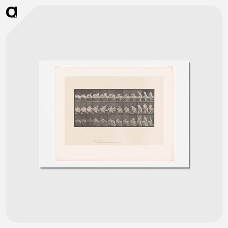 アートポストカード-Woman Emerging
 - エドワード マイブリッジ Postcard.