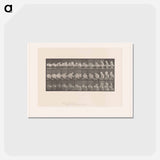 アートポストカード-Woman Emerging
 - エドワード マイブリッジ Postcard.