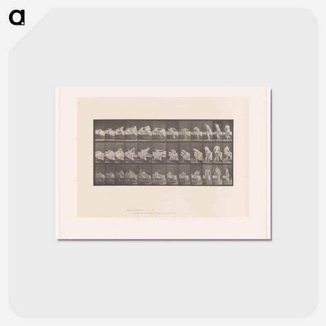 アートポストカード-Woman Emerging
 - エドワード マイブリッジ Postcard.