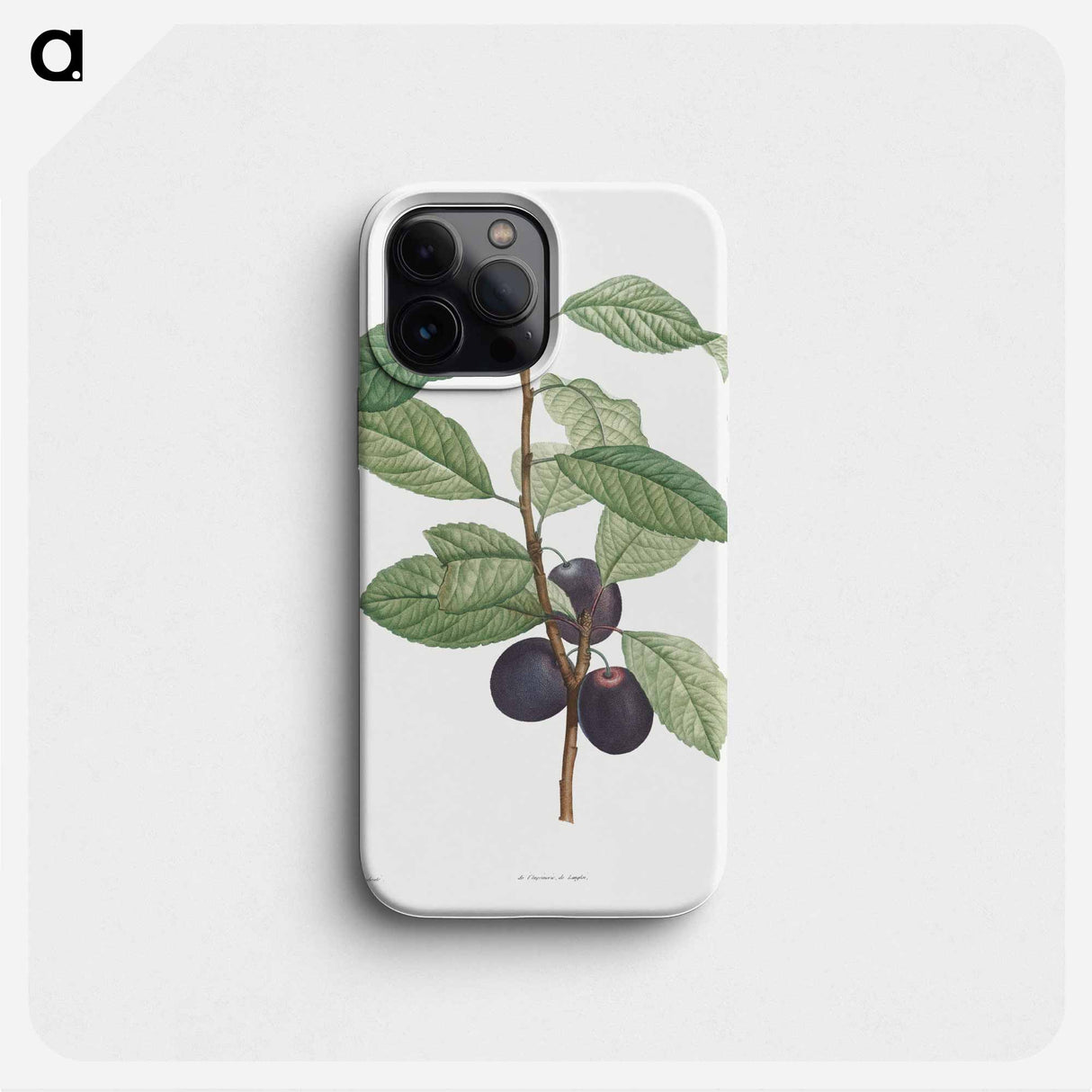 Prune fruit - ピエール ジョゼフ ルドゥーテ Phone Case.