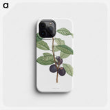 Prune fruit - Pierre Joseph Redouté Phone Case.