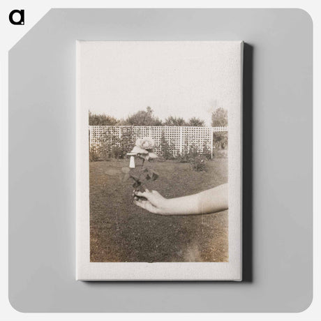 アートパネル-Hand Holding a Flower
 - セントルイス美術館 Canvas.