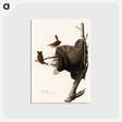アートポストカード-House Wren from Birds of America
 - アメリカの鳥たち Postcard.
