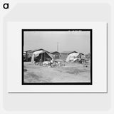 Company housing for cotton workers near Corcoran, California - Dorothea Lange Poster.