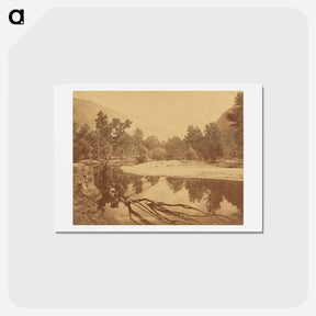 アートポストカード-Valley of the Yosemite
 - エドワード マイブリッジ Postcard.