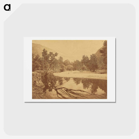 アートポストカード-Valley of the Yosemite
 - エドワード マイブリッジ Postcard.
