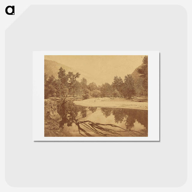 アートポストカード-Valley of the Yosemite
 - エドワード マイブリッジ Postcard.
