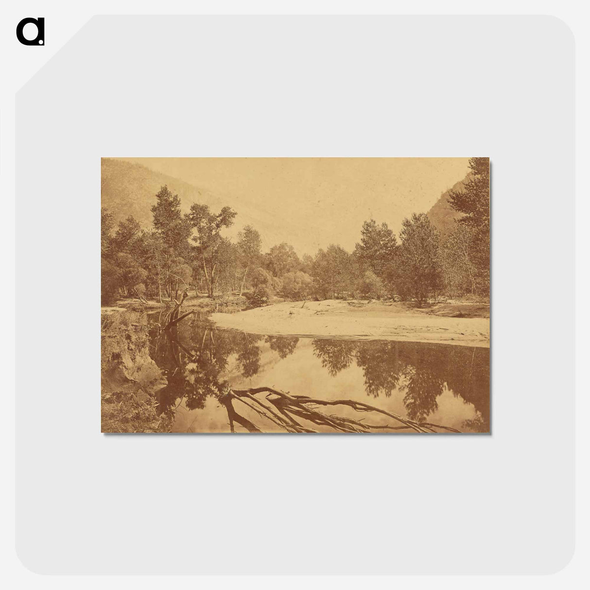 アートポストカード-Valley of the Yosemite
 - エドワード マイブリッジ Postcard.