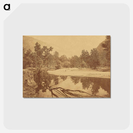 アートポストカード-Valley of the Yosemite
 - エドワード マイブリッジ Postcard.