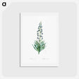 アートポストカード-Persian lily illustration - ピエール ジョゼフ ルドゥーテ Postcard.