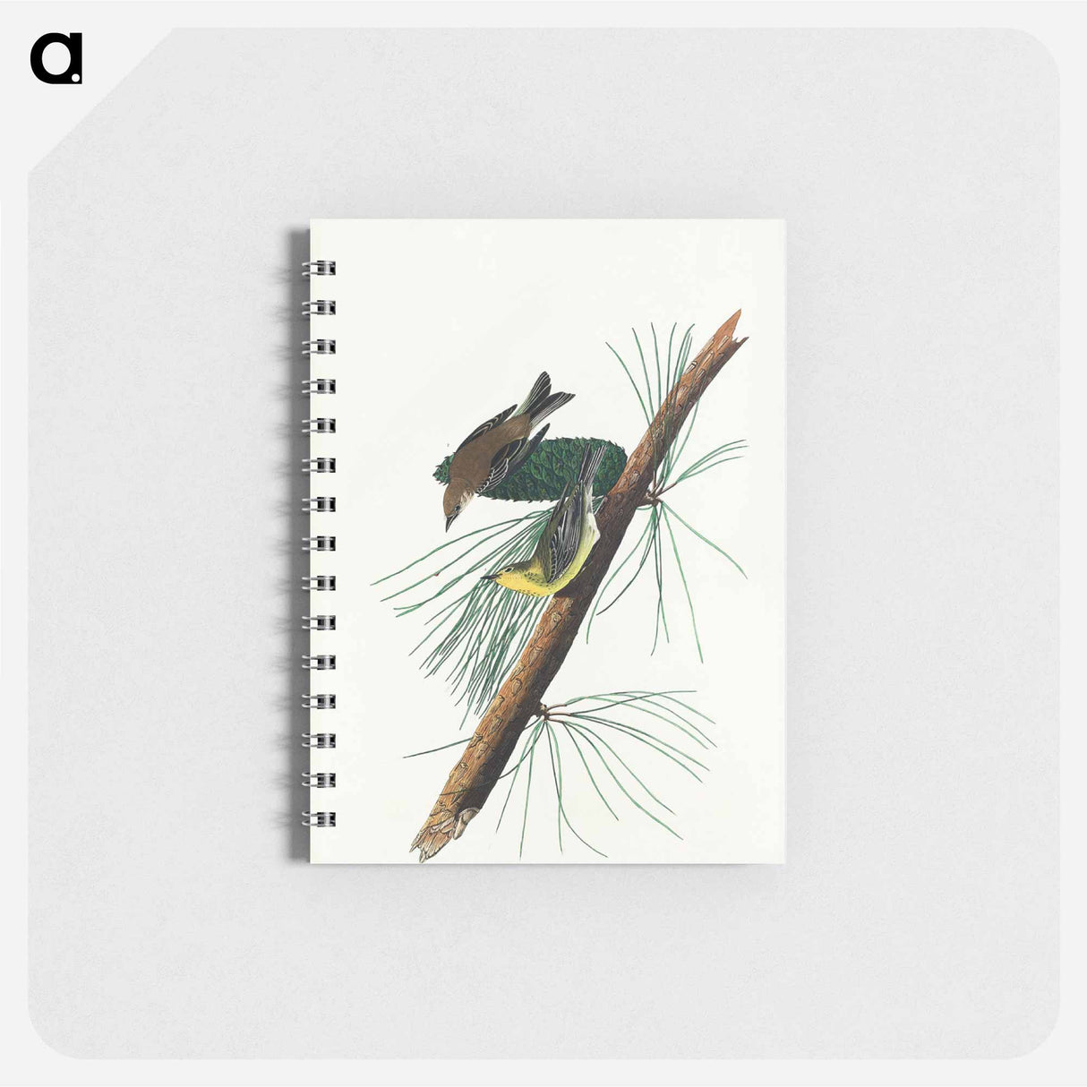 アートメモ帳-Pine Creeping Warbler from Birds of America
 - アメリカの鳥たち Memo.