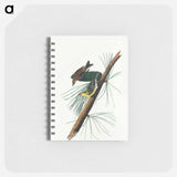 アートメモ帳-Pine Creeping Warbler from Birds of America
 - アメリカの鳥たち Memo.