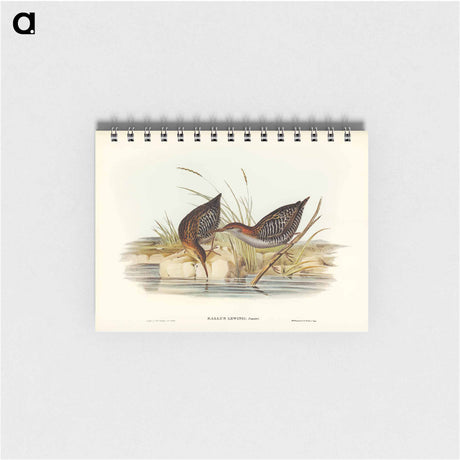アートメモ帳-Lewin's Water Rail
 - オーストラリアの鳥 Memo.