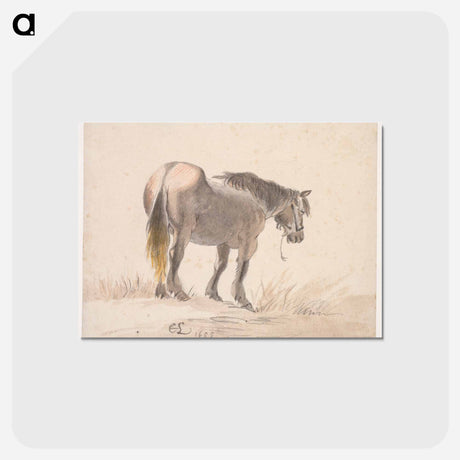 アートポストカード-Cleveland Museum of Art
 - クリーブランド美術館 Postcard.