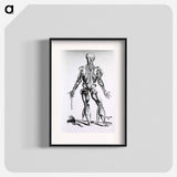 アートポスター-Muscles and Bones of the Human Body
 - 国立医学図書館 Poster.