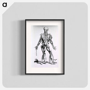 アートポスター-Muscles and Bones of the Human Body
 - 国立医学図書館 Poster.