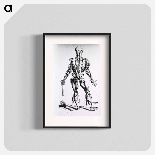 アートポスター-Muscles and Bones of the Human Body
 - 国立医学図書館 Poster.