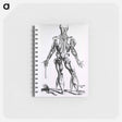 アートメモ帳-Muscles and Bones of the Human Body
 - 国立医学図書館 Memo.