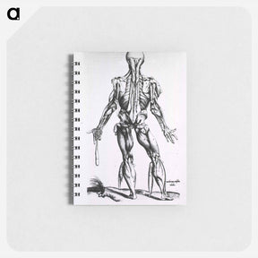 アートメモ帳-Muscles and Bones of the Human Body
 - 国立医学図書館 Memo.