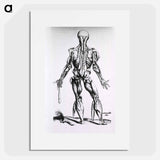 アートポスター-Muscles and Bones of the Human Body
 - 国立医学図書館 Poster.