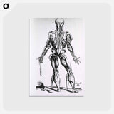 アートポストカード-Muscles and Bones of the Human Body
 - 国立医学図書館 Postcard.
