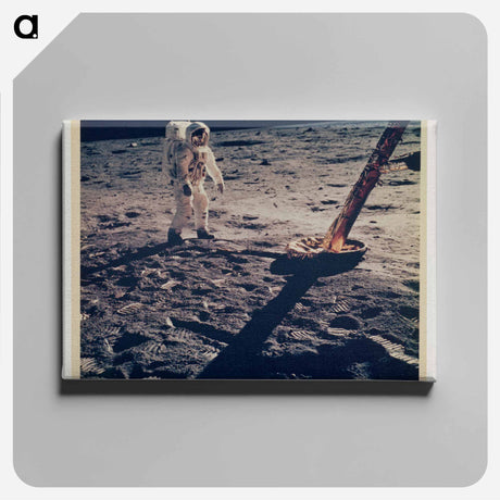 アートパネル-Apollo 11 Moon Landing
 - セントルイス美術館 Canvas.