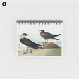 アートメモ帳-Richardson's Jager from Birds of America
 - アメリカの鳥たち Memo.