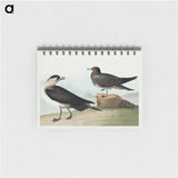 アートメモ帳-Richardson's Jager from Birds of America
 - アメリカの鳥たち Memo.