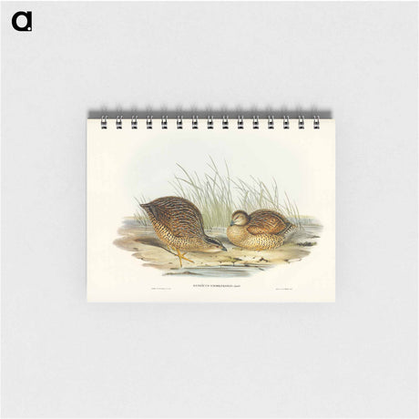 アートメモ帳-Van Diemen's Land Partridge
 - オーストラリアの鳥 Memo.