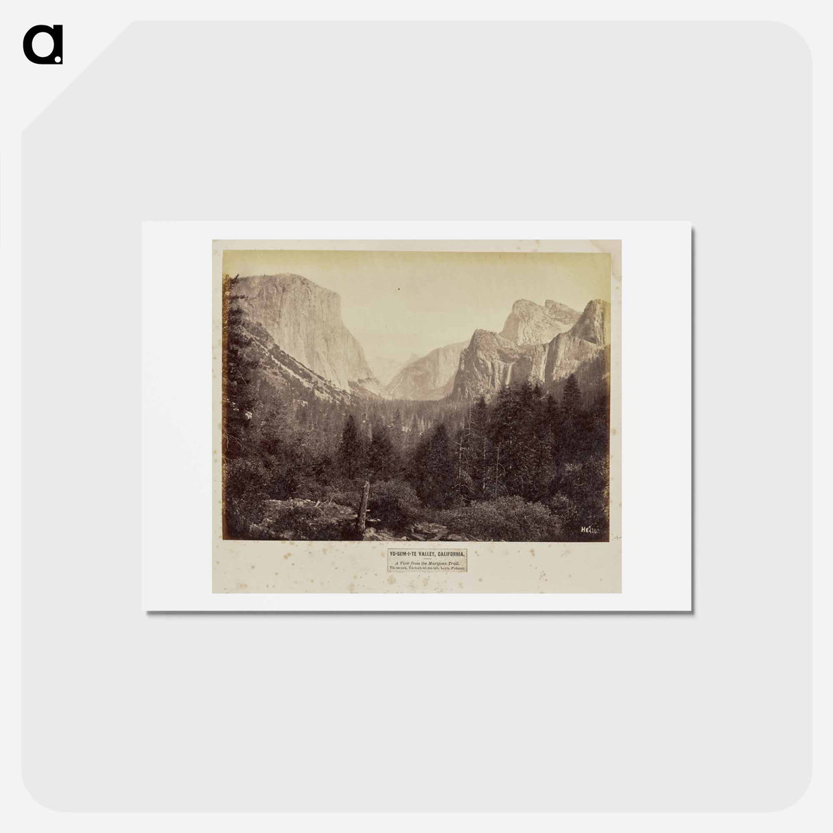 アートポストカード-Yo-Sem-i-te Valley, California
 - エドワード マイブリッジ Postcard.