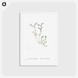 アートポストカード-Sedum Dasyphyllum (Corsican Stonecrop) - ピエール ジョゼフ ルドゥーテ Postcard.