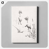 Wenskaart met vier lepelaars - テオ ヴァン ホイテマ Canvas.