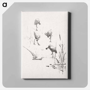 アートパネル-Wenskaart met vier lepelaars - テオ ヴァン ホイテマ Canvas.