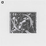 アートメモ帳-Historiated Letter Q
 - 国立医学図書館 Memo.