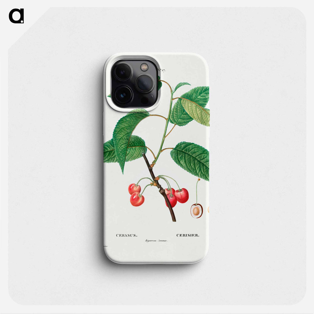 Cherry (Cerasus) - Pierre Joseph Redouté Phone Case.