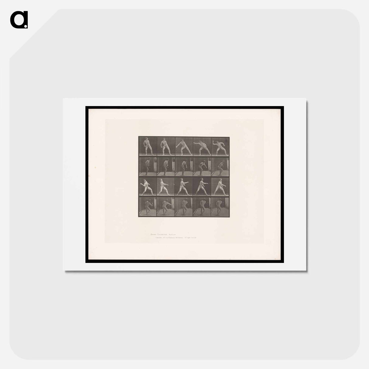 アートポストカード-Man Throwing Ball
 - エドワード マイブリッジ Postcard.
